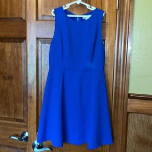 Blue open back cocktail dress